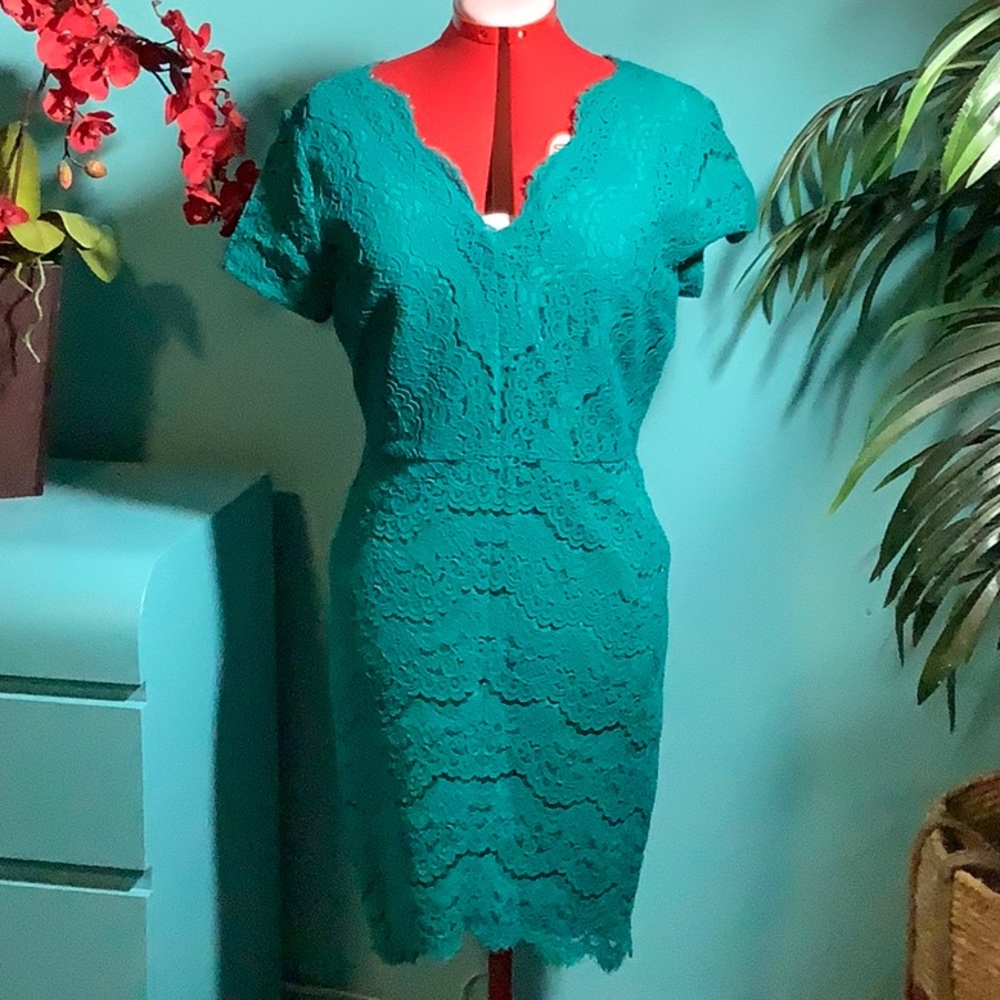 LOFT Green Lace Dress Size 8